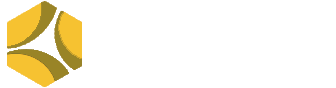 Digix Chains Logo